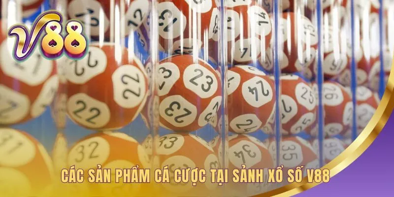 Sản phẩm đa dạng từ truyền thống quen thuộc đến tốc độ cao